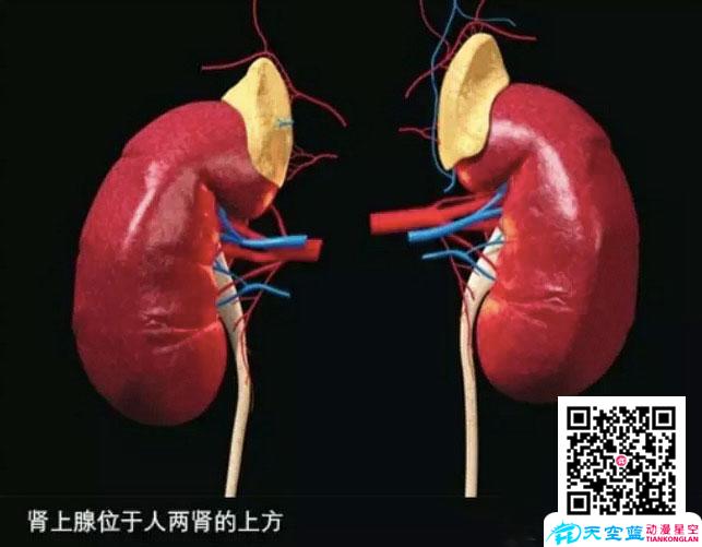 為什么人在生死關(guān)頭會(huì)變成超級(jí)大力士? - 黃鶴樓十萬(wàn)個(gè)為什么動(dòng)漫視頻.jpg 為什么人在生死關(guān)頭會(huì)變成超級(jí)大力士? - 黃鶴樓十萬(wàn)個(gè)為什么動(dòng)漫視頻.jpg