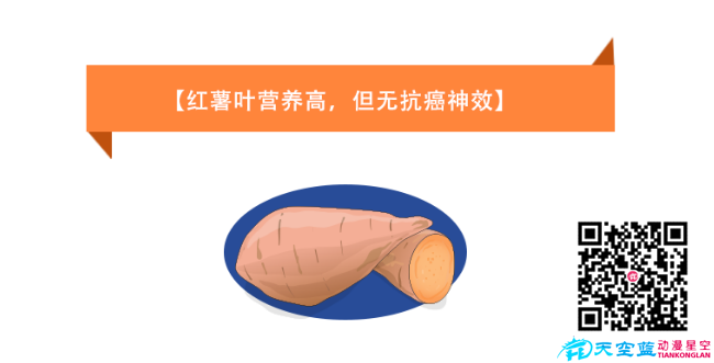 《紅薯葉營養(yǎng)高，但無抗癌神效》健康醫(yī)療知識科普.png