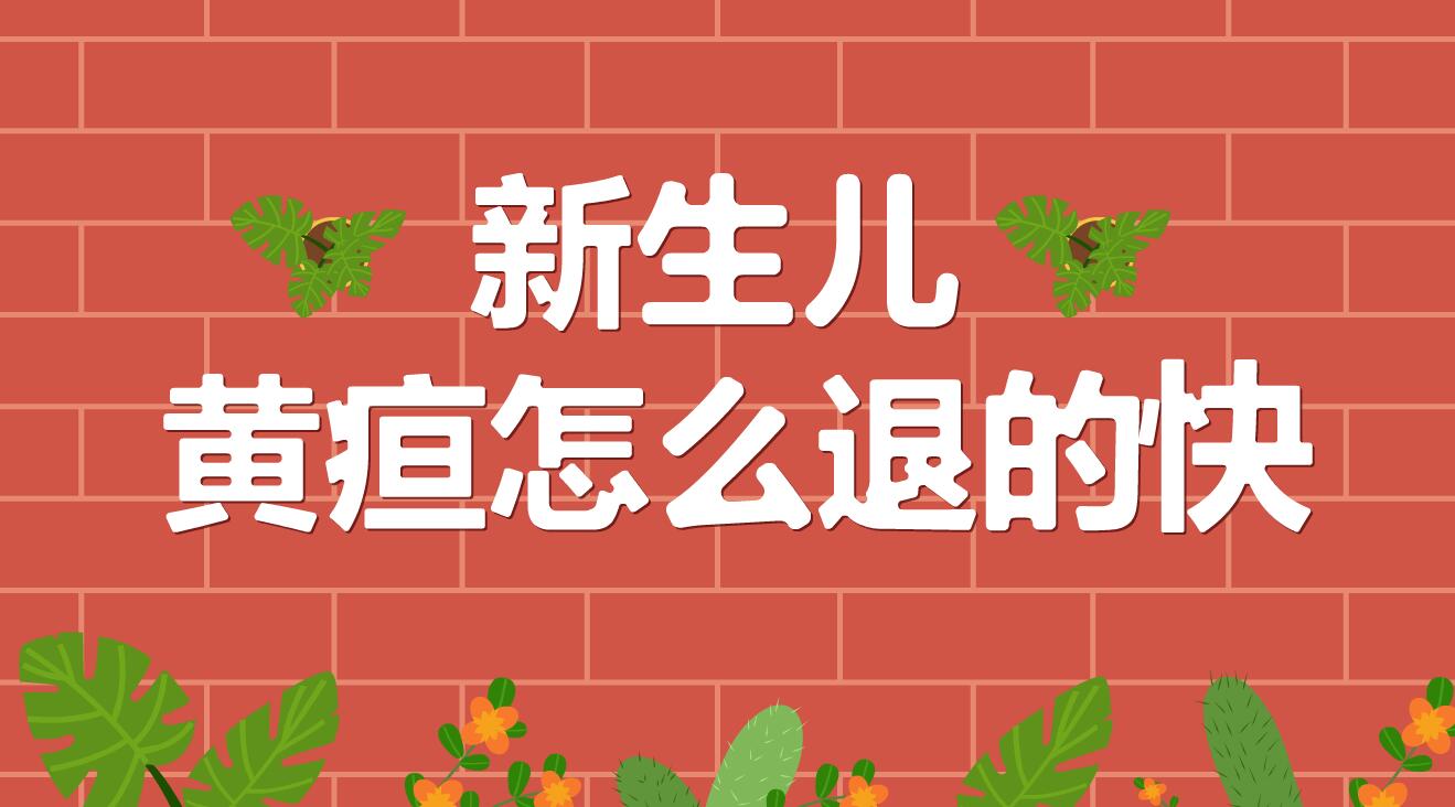 新生兒黃疸怎么退的快？.jpg