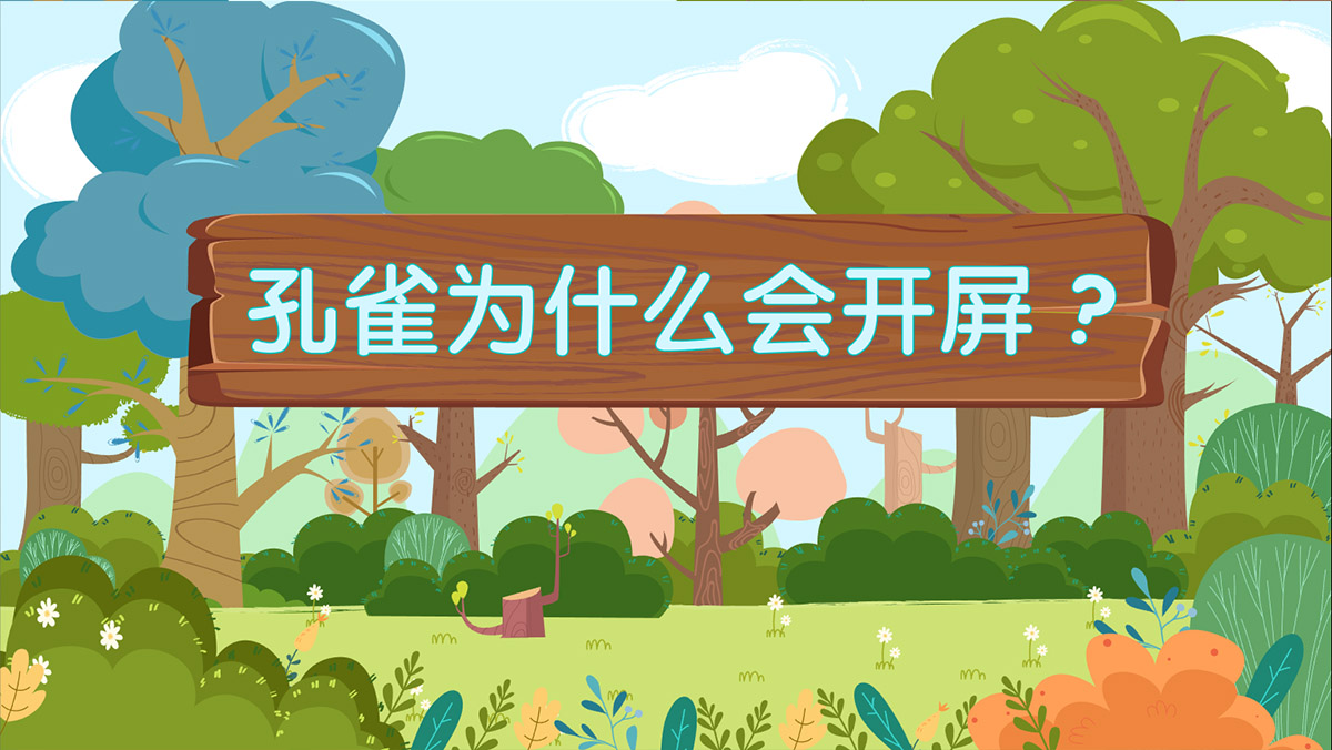 孔雀為什么會(huì)開屏動(dòng)畫制作 孔雀為什么會(huì)開屏動(dòng)畫制作