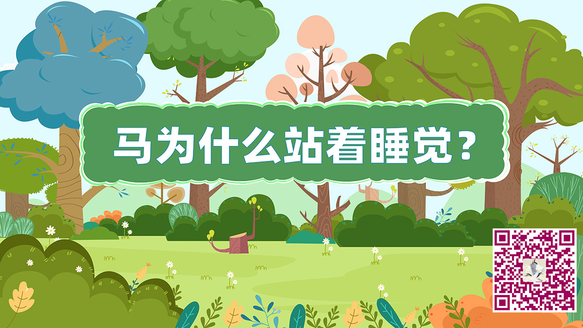 馬為什么會(huì)站著睡覺(jué)二維碼.jpg 馬為什么會(huì)站著睡覺(jué)二維碼.jpg