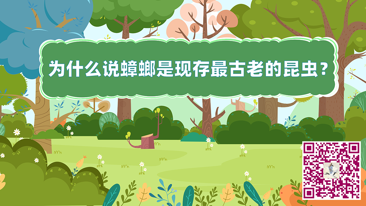 蟑螂最古老二維碼.png 蟑螂最古老二維碼.png