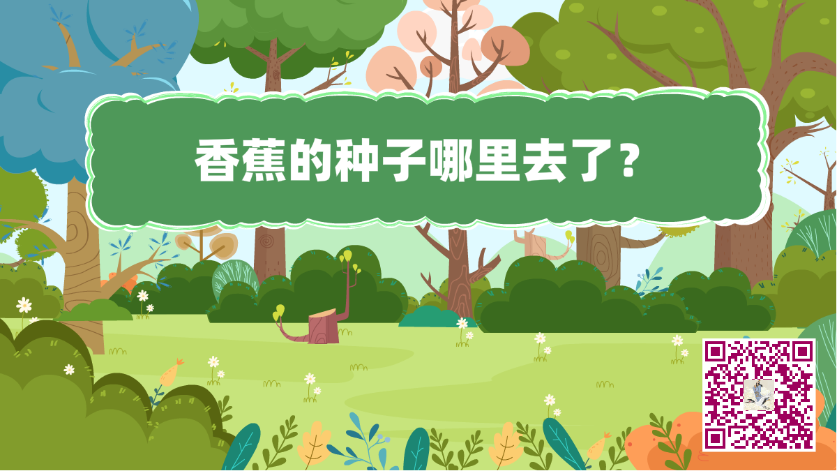 十萬個為什么標題(香蕉的種子)1200.png 十萬個為什么標題(香蕉的種子)1200.png