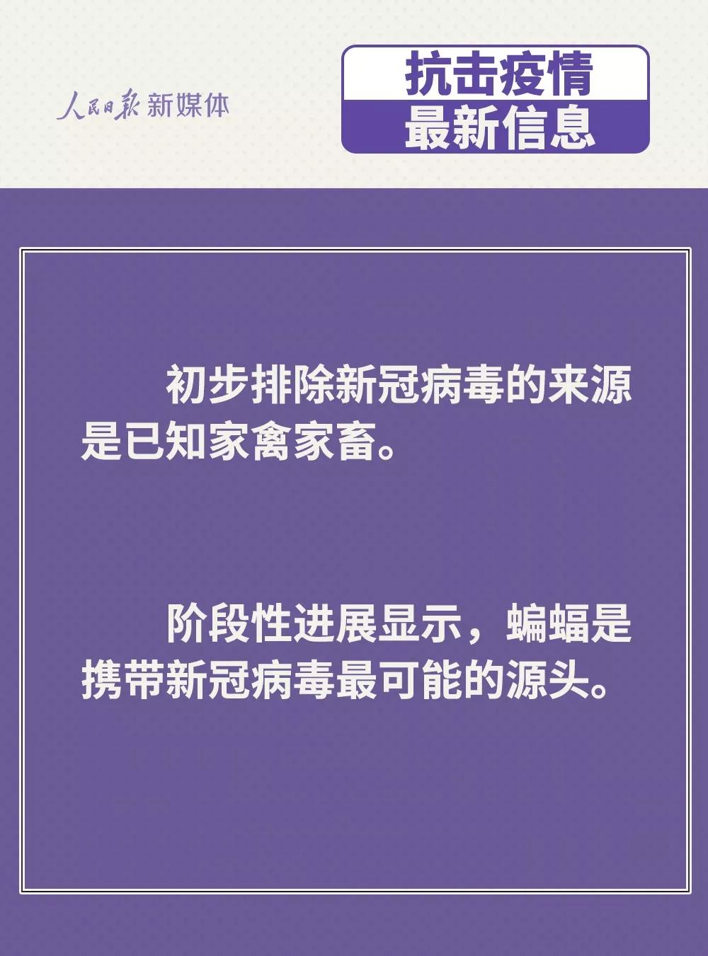 防控新型冠狀病毒：雞鴨會傳播病毒？疫苗研究得怎樣？.jpg