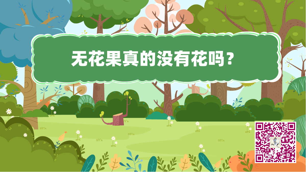 十萬個為什么標題(無花果有花嗎)1200.png 十萬個為什么標題(無花果有花嗎)1200.png