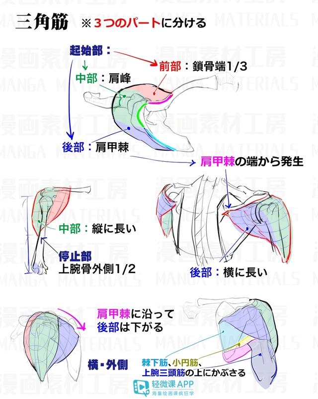 黃鶴樓動(dòng)漫 黃鶴樓動(dòng)漫