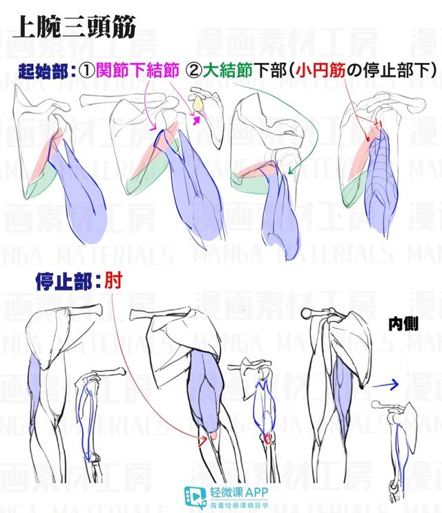 黃鶴樓動(dòng)漫 黃鶴樓動(dòng)漫