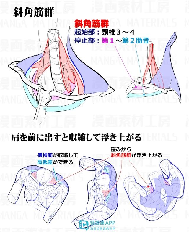 黃鶴樓動(dòng)漫 黃鶴樓動(dòng)漫