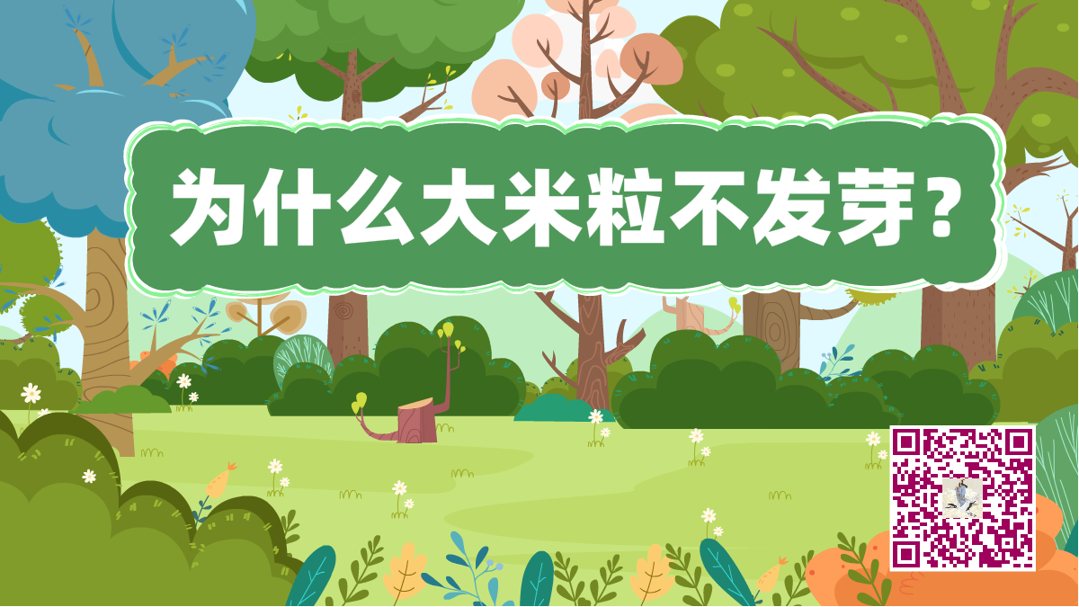 十萬(wàn)個(gè)為什么標(biāo)題(大米粒發(fā)芽)1200.png 十萬(wàn)個(gè)為什么標(biāo)題(大米粒發(fā)芽)1200.png