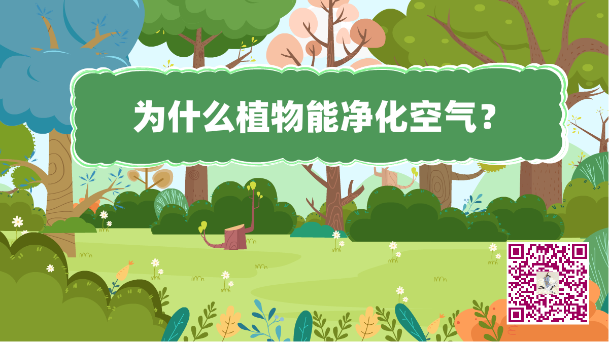 十萬個(gè)為什么標(biāo)題(植物凈化空氣)1200.png 十萬個(gè)為什么標(biāo)題(植物凈化空氣)1200.png