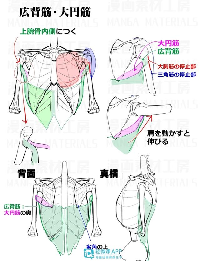 黃鶴樓動(dòng)漫 黃鶴樓動(dòng)漫
