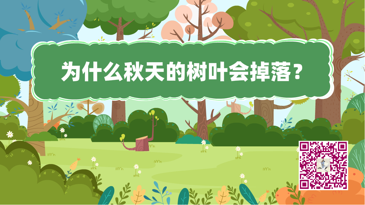十萬(wàn)個(gè)為什么標(biāo)題(秋天樹(shù)葉)1200.png 十萬(wàn)個(gè)為什么標(biāo)題(秋天樹(shù)葉)1200.png