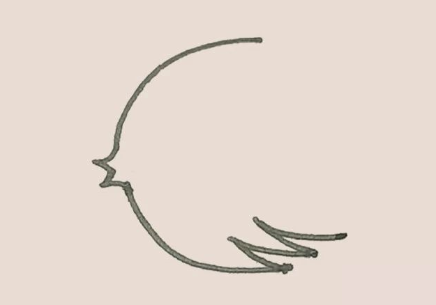 下面的弧線，再畫上幾段弧線作為裝飾。.png