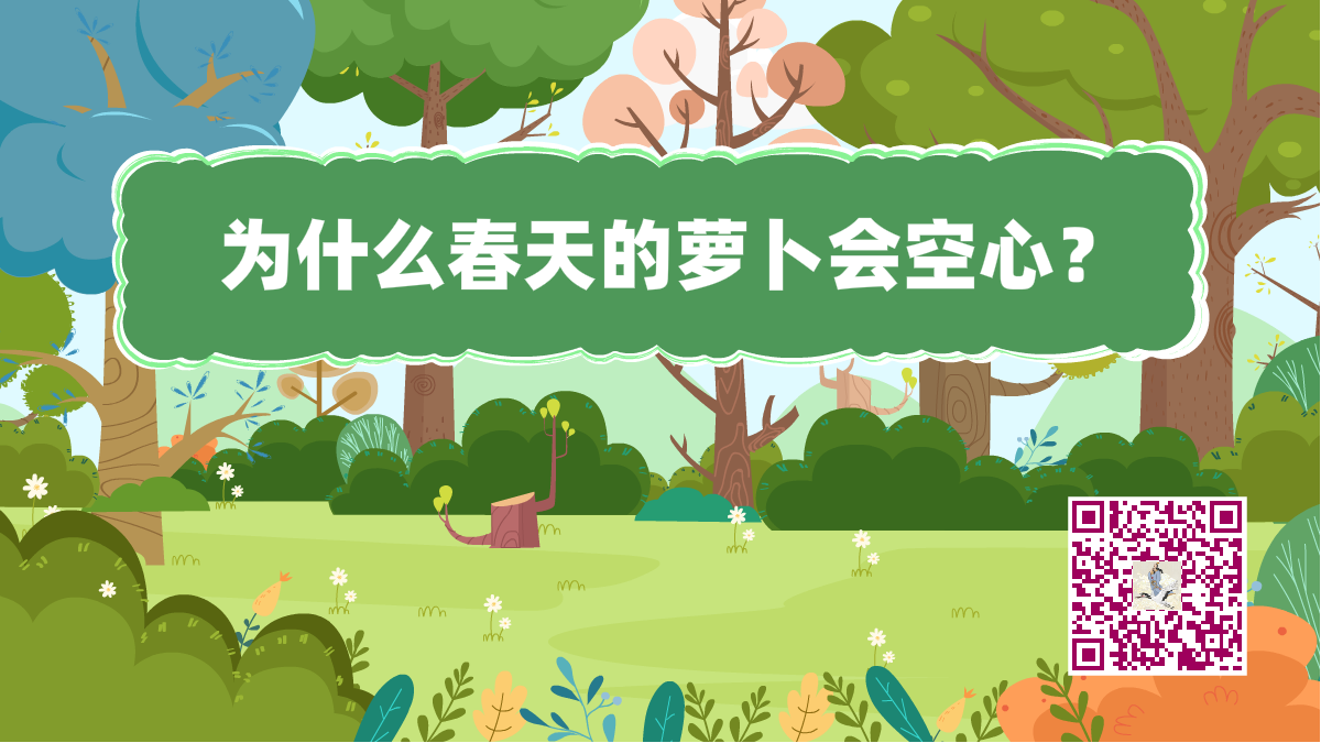 十萬個為什么標(biāo)題(春天的蘿卜)1200.png 十萬個為什么標(biāo)題(春天的蘿卜)1200.png