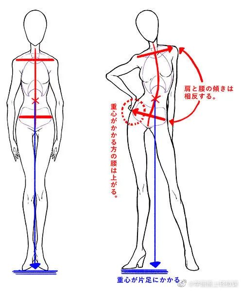 人體動(dòng)勢(shì)線與姿勢(shì)參考，學(xué)畫畫收藏不虧