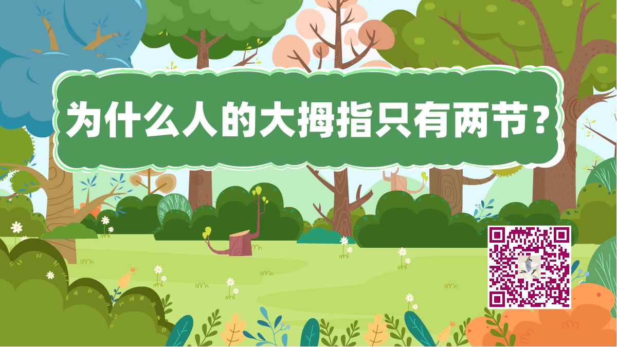 十萬(wàn)個(gè)為什么標(biāo)題(大拇指兩節(jié))1200.png 十萬(wàn)個(gè)為什么標(biāo)題(大拇指兩節(jié))1200.png