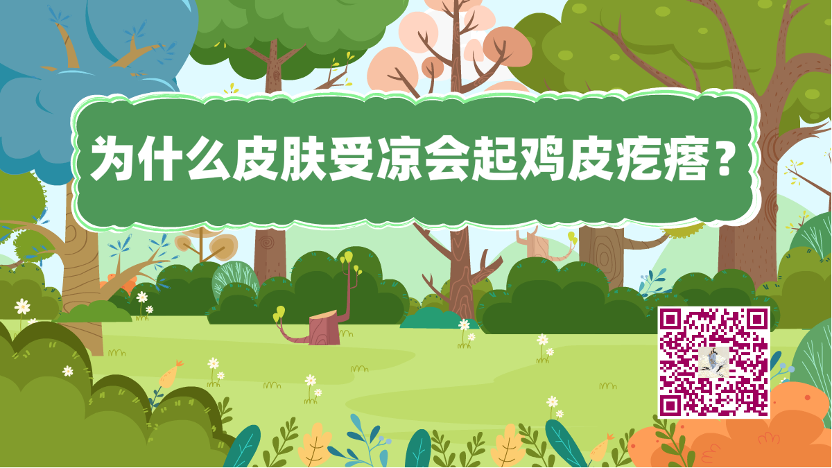 十萬(wàn)個(gè)為什么標(biāo)題(皮膚雞皮疙瘩)1200.png 十萬(wàn)個(gè)為什么標(biāo)題(皮膚雞皮疙瘩)1200.png
