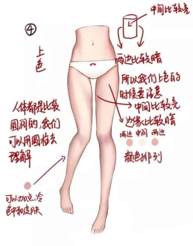 腿部教程（女性）大腿結(jié)構(gòu)畫(huà)法教程4.jpg
