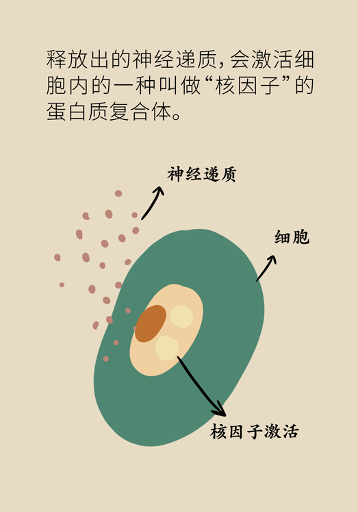 癌癥與睡眠都有那些關系？