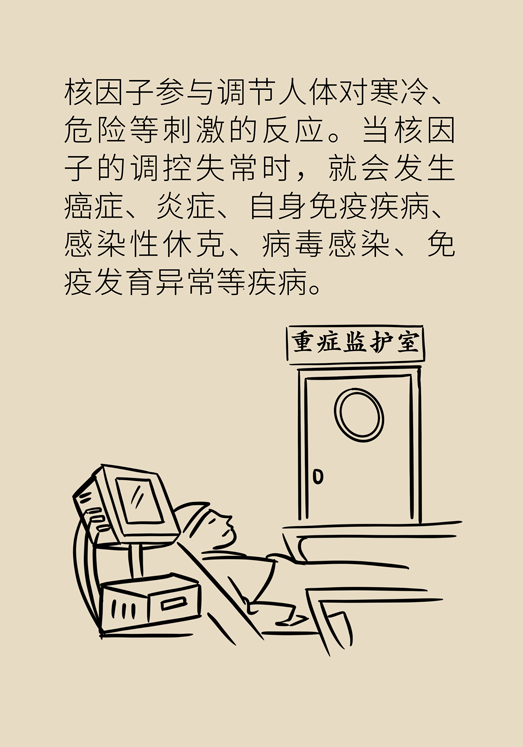 癌癥與睡眠都有那些關系？