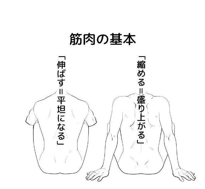 動(dòng)漫人物的背怎么畫5.jpg