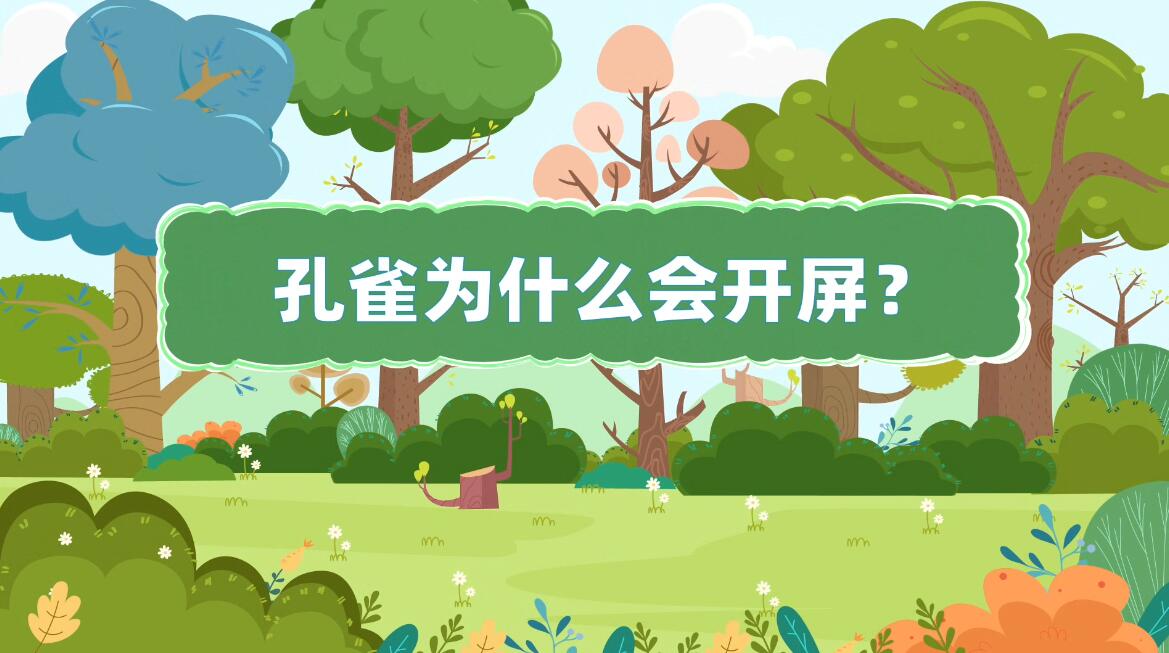 動畫視頻制作廣告公司 動畫視頻制作廣告公司