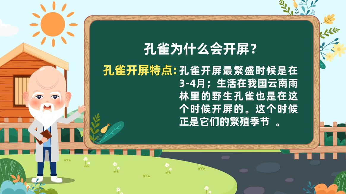 動畫宣傳制作公司 動畫宣傳制作公司