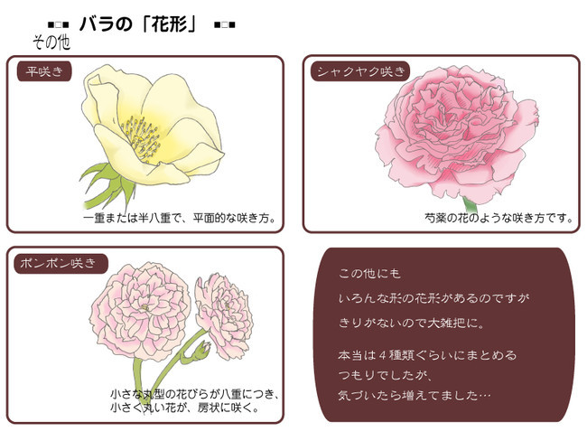 各種花的簡單畫法，一步一步教你畫鮮花