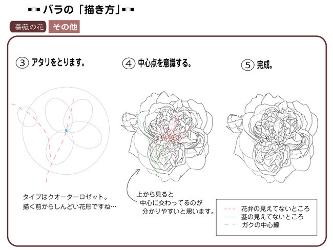 各種花的簡單畫法，一步一步教你畫鮮花