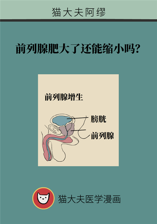 前列腺肥大了還能縮小嗎？