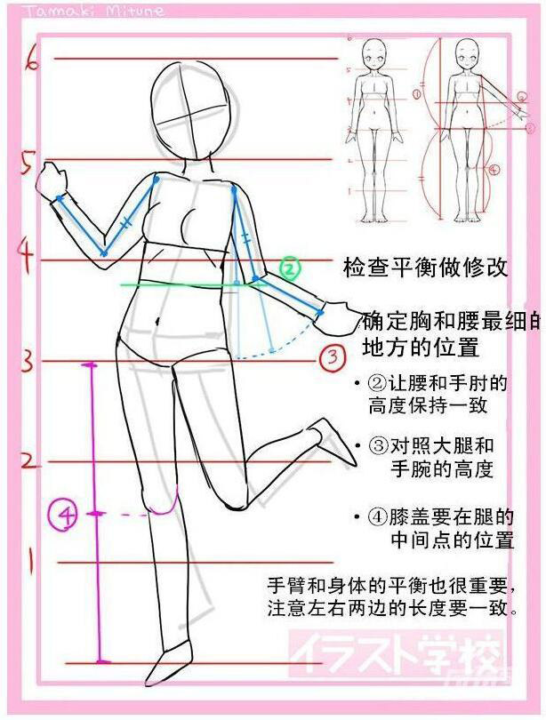 動漫女生頭身比怎么畫？動漫女生頭身比畫法教程五.jpg