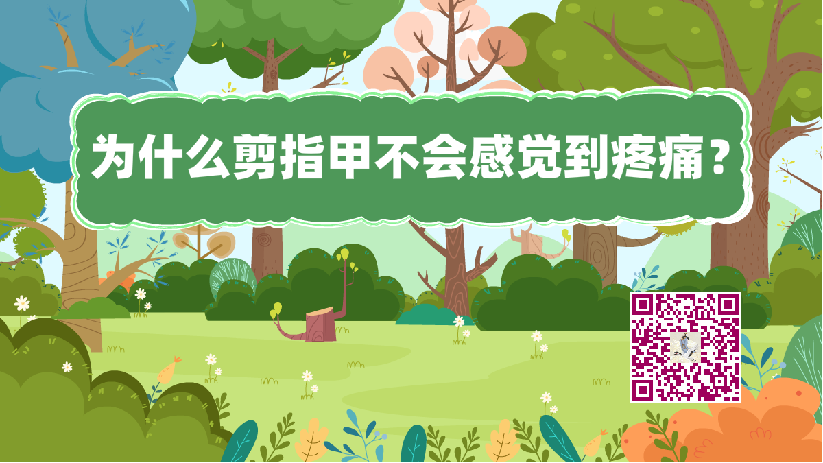 十萬個(gè)為什么標(biāo)題(剪指甲)1200.png 十萬個(gè)為什么標(biāo)題(剪指甲)1200.png