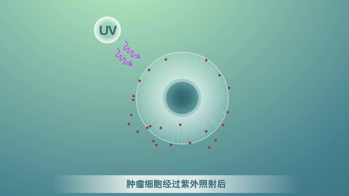 Flash動畫制作《細胞囊泡生物治療》醫(yī)學動漫宣傳片.jpg Flash動畫制作《細胞囊泡生物治療》醫(yī)學動漫宣傳片.jpg