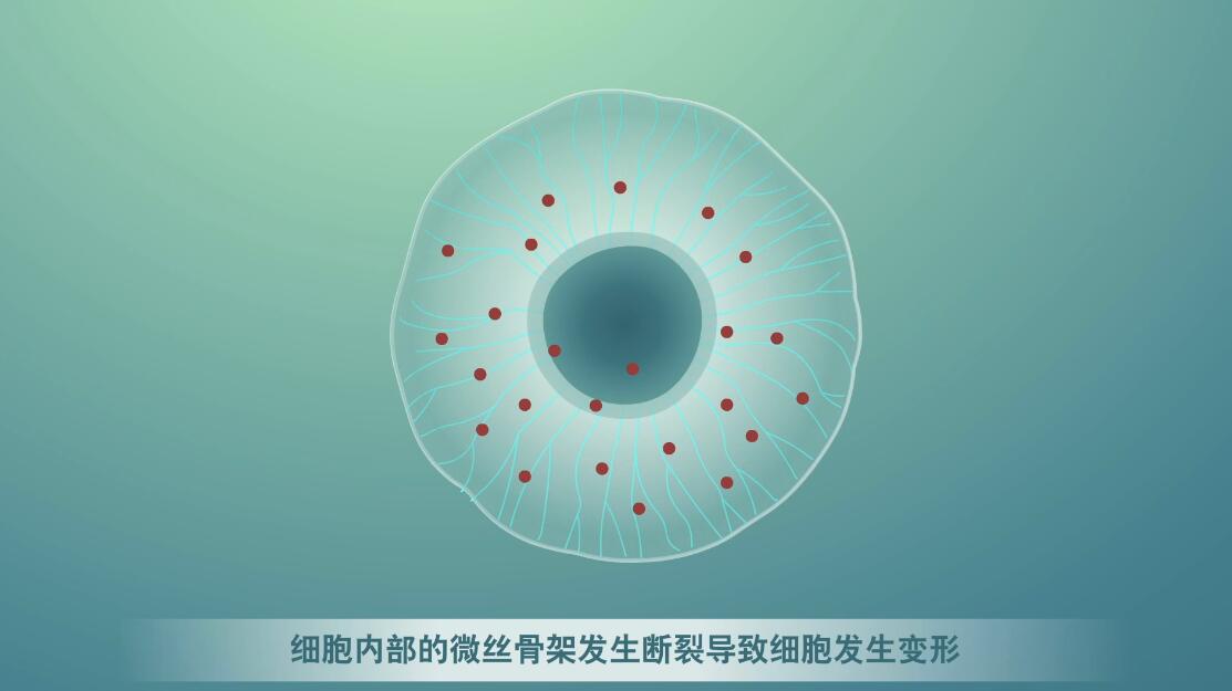 Flash動畫制作《細胞囊泡生物治療》醫(yī)學動漫宣傳片囊細胞.jpg Flash動畫制作《細胞囊泡生物治療》醫(yī)學動漫宣傳片囊細胞.jpg