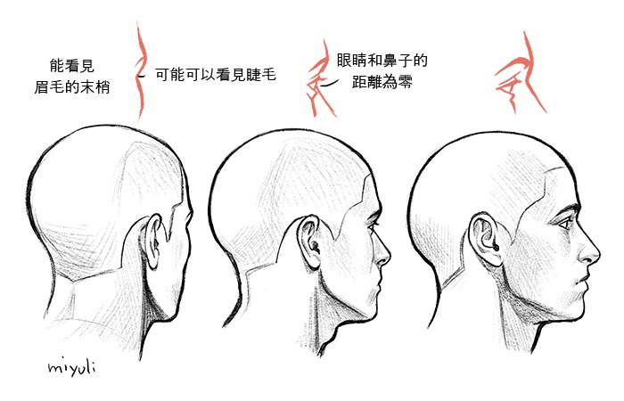 從側(cè)面的狀態(tài)觀看時(shí)，人物轉(zhuǎn)向另一側(cè)後，就只能看見眉毛和睫毛.jpg