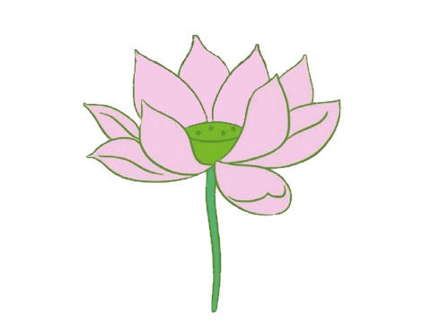 荷花簡(jiǎn)筆畫圖片大全作品三