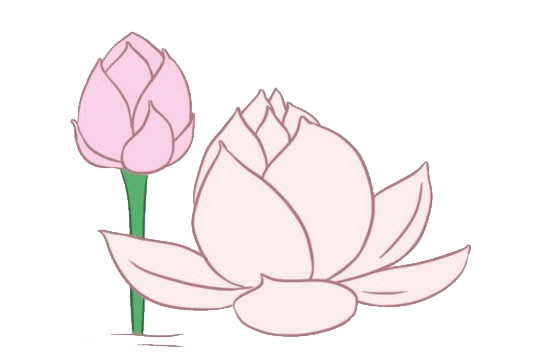 荷花簡(jiǎn)筆畫圖片大全作品四