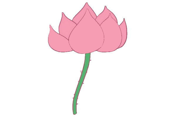 荷花簡(jiǎn)筆畫圖片步驟四