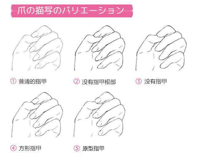 五種類(lèi)型的指甲的適用情況.jpg