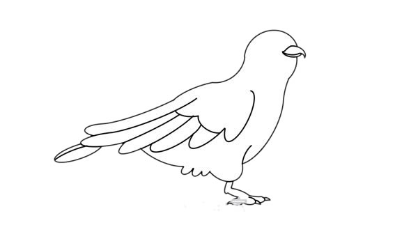 杜鵑鳥(niǎo)簡(jiǎn)筆畫(huà) 杜鵑鳥(niǎo)簡(jiǎn)筆畫(huà)畫(huà)法步驟圖片