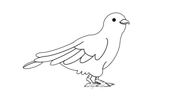 杜鵑鳥(niǎo)簡(jiǎn)筆畫(huà) 杜鵑鳥(niǎo)簡(jiǎn)筆畫(huà)畫(huà)法步驟圖片