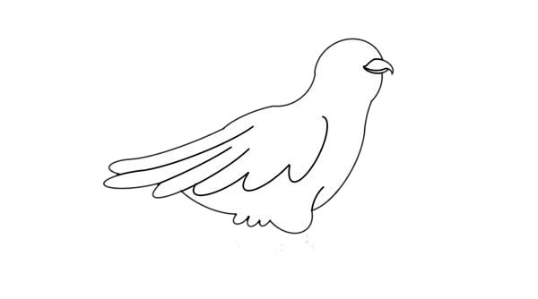 杜鵑鳥(niǎo)簡(jiǎn)筆畫(huà) 杜鵑鳥(niǎo)簡(jiǎn)筆畫(huà)畫(huà)法步驟圖片