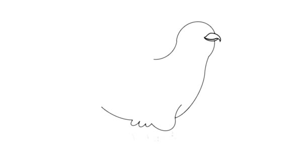 杜鵑鳥(niǎo)簡(jiǎn)筆畫(huà) 杜鵑鳥(niǎo)簡(jiǎn)筆畫(huà)畫(huà)法步驟圖片