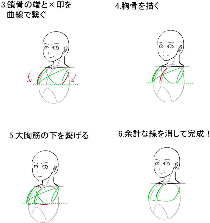女生的胸部應(yīng)該這樣畫(huà).jpg