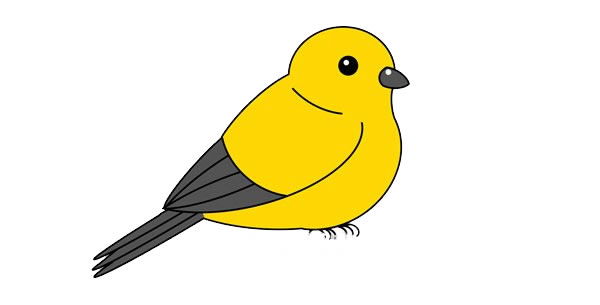 黃鸝鳥(niǎo)簡(jiǎn)筆畫(huà)