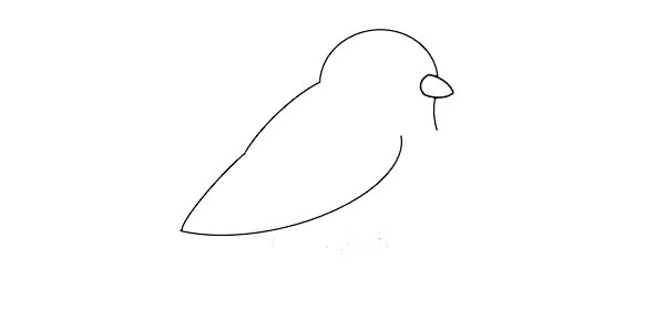 可愛(ài)黃鸝鳥(niǎo)簡(jiǎn)筆畫(huà)畫(huà)法步驟圖片