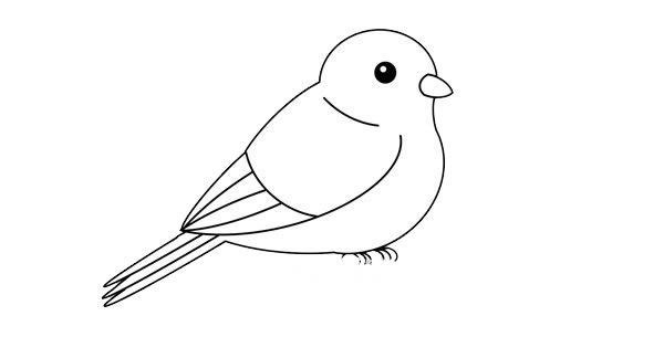 可愛(ài)黃鸝鳥(niǎo)簡(jiǎn)筆畫(huà)畫(huà)法步驟圖片