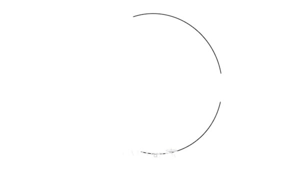 熱帶魚簡(jiǎn)筆畫圖片大全彩色