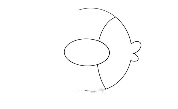 熱帶魚簡(jiǎn)筆畫圖片大全彩色