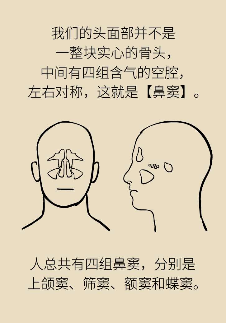 為什么鼻竇發(fā)炎，疼的卻是頭、眼和牙？